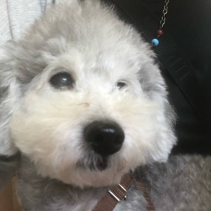 219ca152 c864 4635 a815 f86fb46c6de6 1536987578925