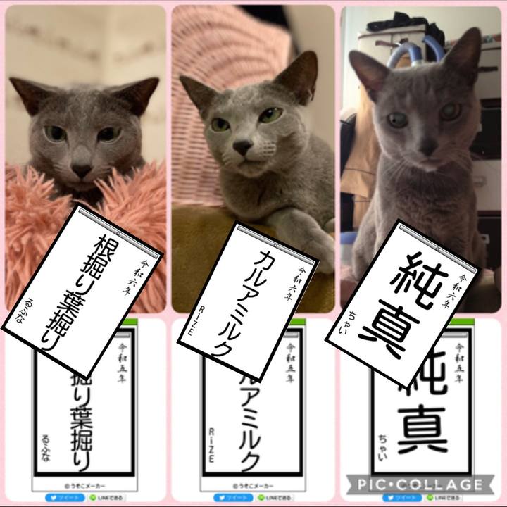 219ca5c2 0a86 49dd 81a6 8c5ebf01829d 1704502420948