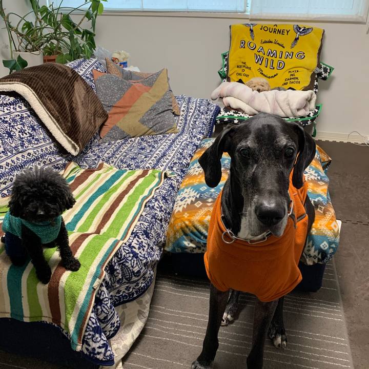 219cd389 4cbf 4c65 ad11 03737aae0d1a 1579041396180