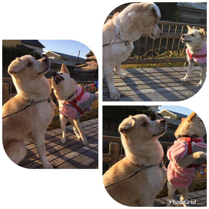 219d0076 4014 47c7 963c bdbe7434c55c 1513652775374