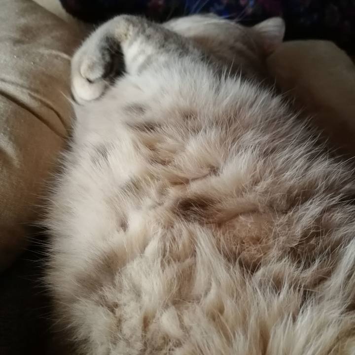 219d294b f1a9 4ae3 903a 026050eba3a2 1515549277698