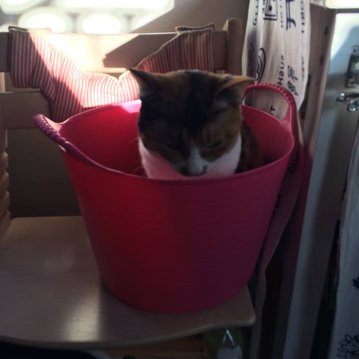 219d3797 a935 4a26 bbba e2f5660cfd7a 1514760900230