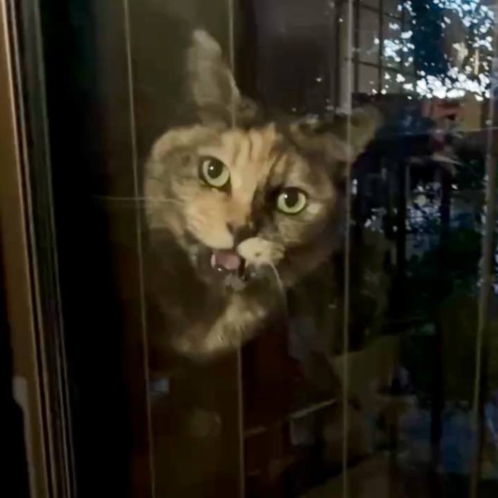 219d63f4 2c9d 47b3 8d32 be9a6ffc9d37 1765542322415