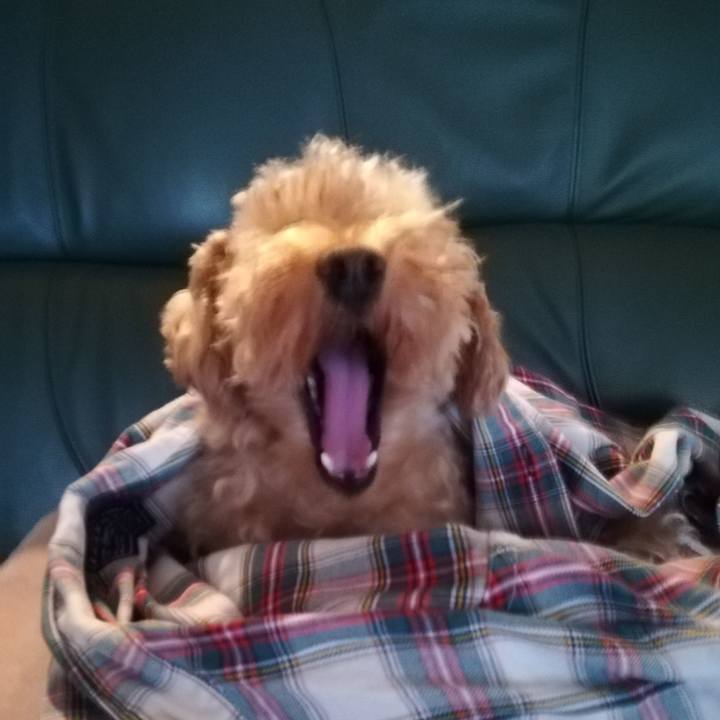 219d7266 25c1 4642 83b8 5b08c8a0f7ca 1539557691968