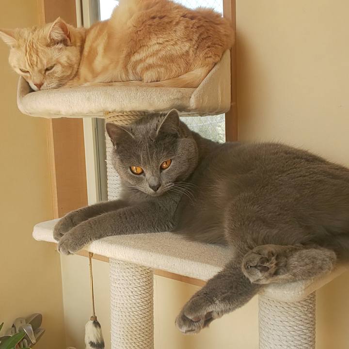 219d9614 004e 4a51 ae9b 4de0b7c59332 1585873191243