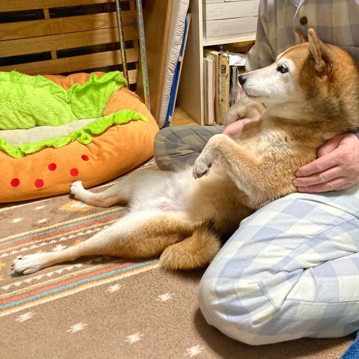 219d9729 205c 4dcb 830e 8743e6c4572e 1766227136322