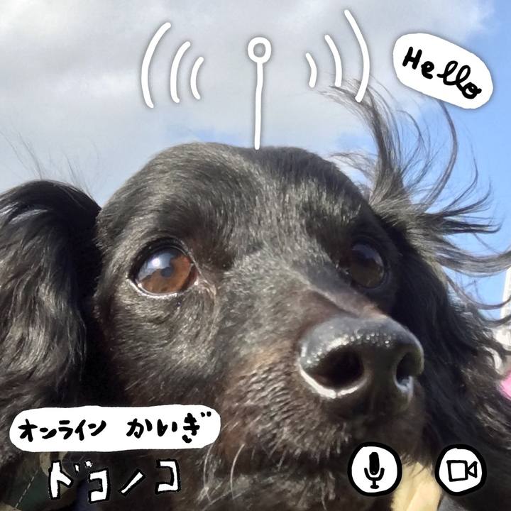 219de8cd 340b 443c 9a88 6a4c861a3fb6 1590712722384