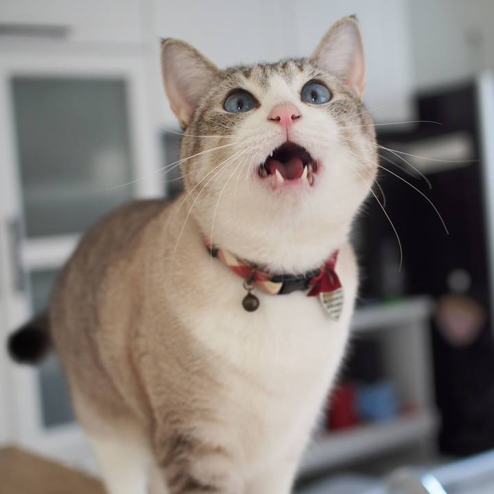 219df818 caec 48d6 9ef6 a7b7a19c44ff 1581817517796