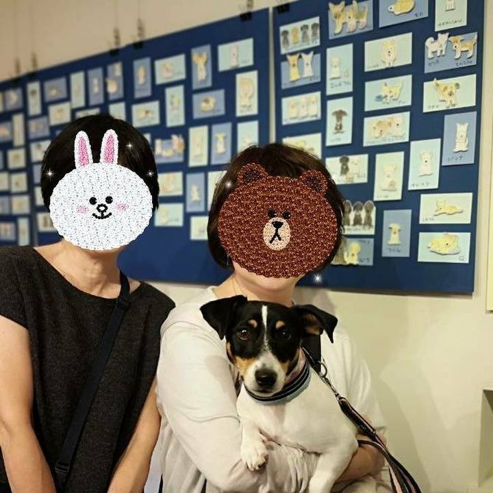 219df84f b021 4bac 8eb2 1ad4bbe685f8 1540124954007