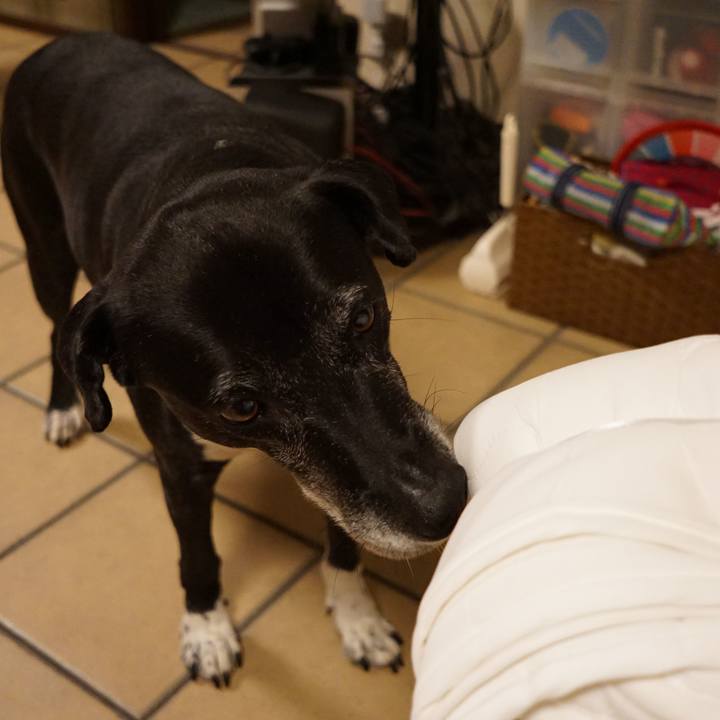 219e2f8a 28e2 430a ba32 c63184081fb0 1760266949554