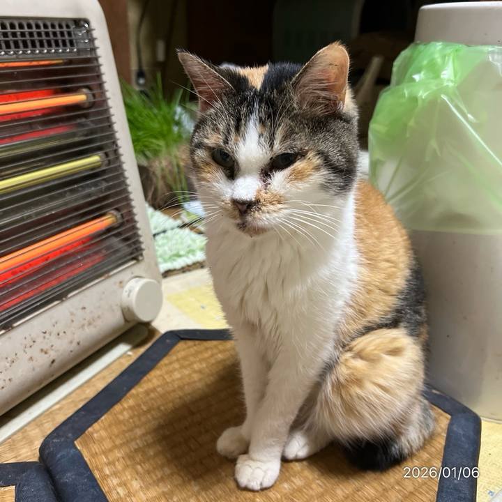 219e478d 4971 4333 a74d 6e51a0ab54dd 1767651699188