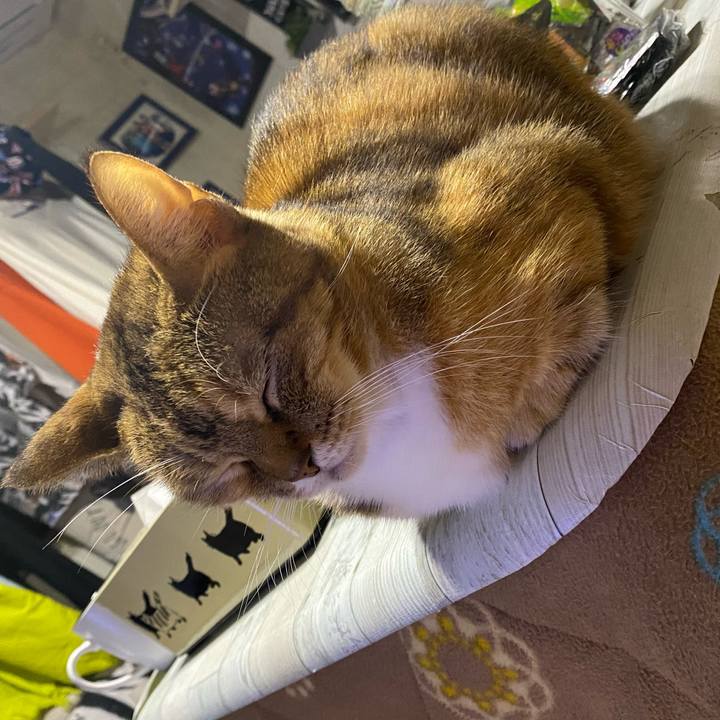 219e5d10 2f64 412b 82eb c40482f99516 1607872854949