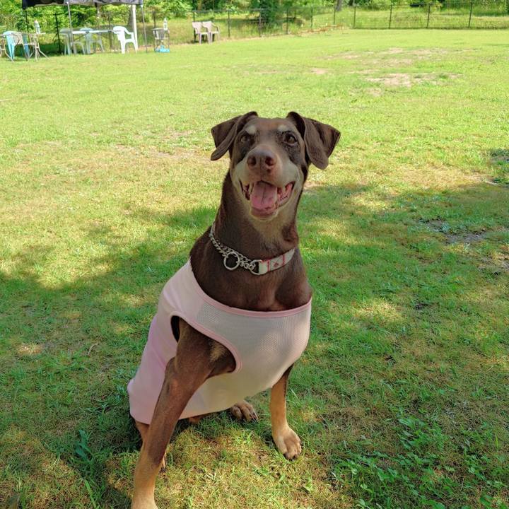 219e6454 4a06 47f7 ba17 3d98bd204f67 1764125482831