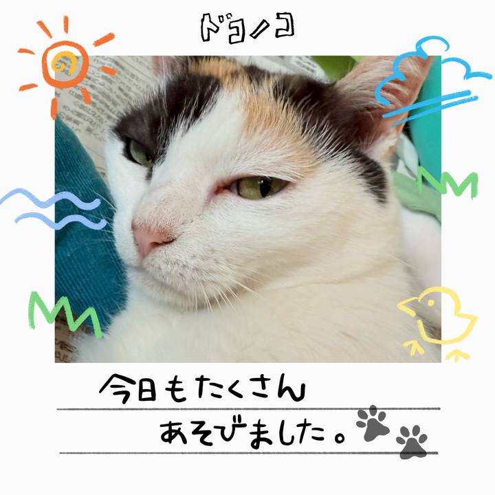 219e6b91 2144 473e a22b 3c7360426d58 1755141281662