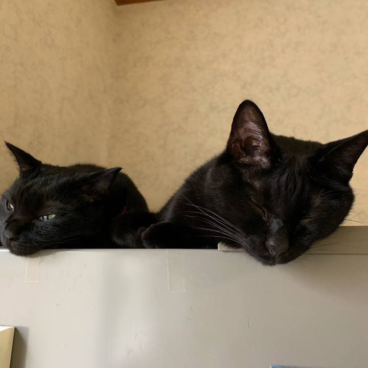 219eb681 49f6 420c 9350 a8798e6b97df 1562125845550