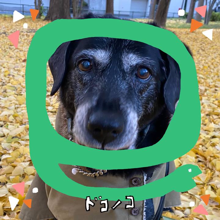 219edf05 f71b 4e64 a8e0 efd6a12d5505 1741066096061