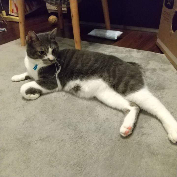 219ef959 1df6 4235 95c1 77527a6f6aa7 1609156683008