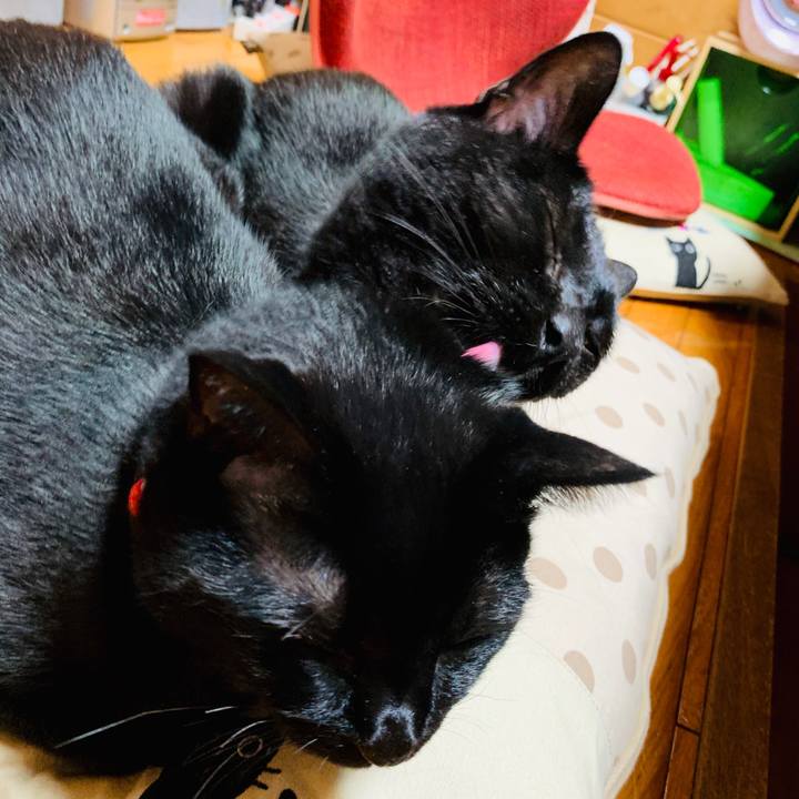 219f2a8c e4e7 4f3c a839 258fa4af9451 1570713925995