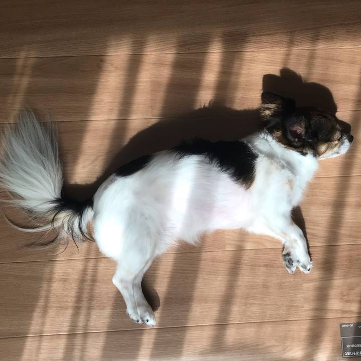 219f379a be23 44d6 8141 43c7e43f72ef 1538454922593