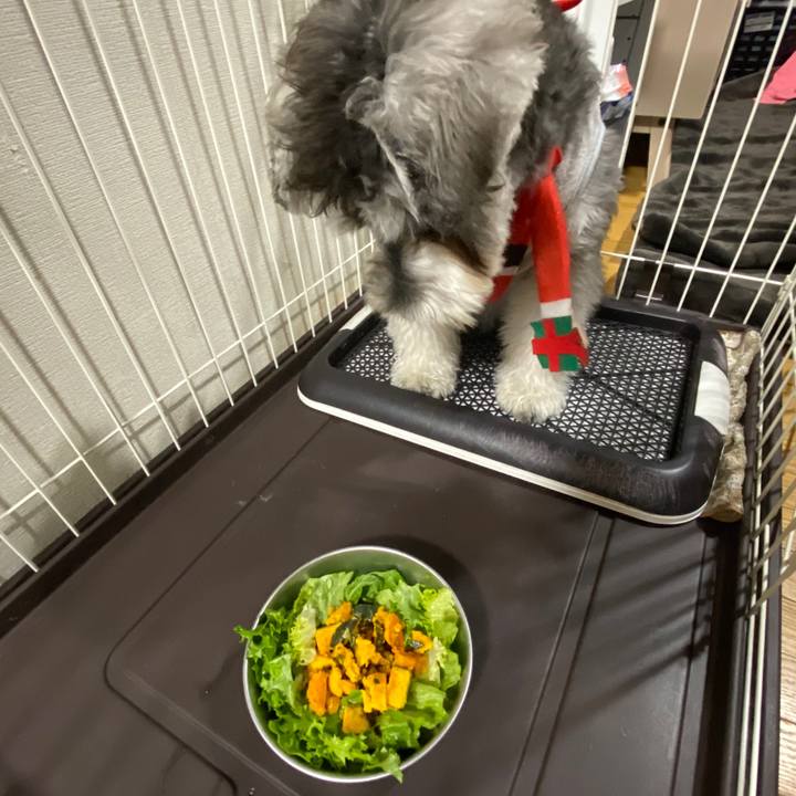 219f3f06 b451 4a79 9cee ae55218d9d91 1577019285838