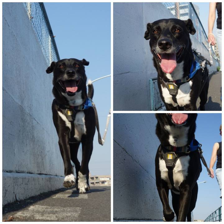 219f6f61 089a 4078 b5e5 7dd7e23aa209 1656632252687