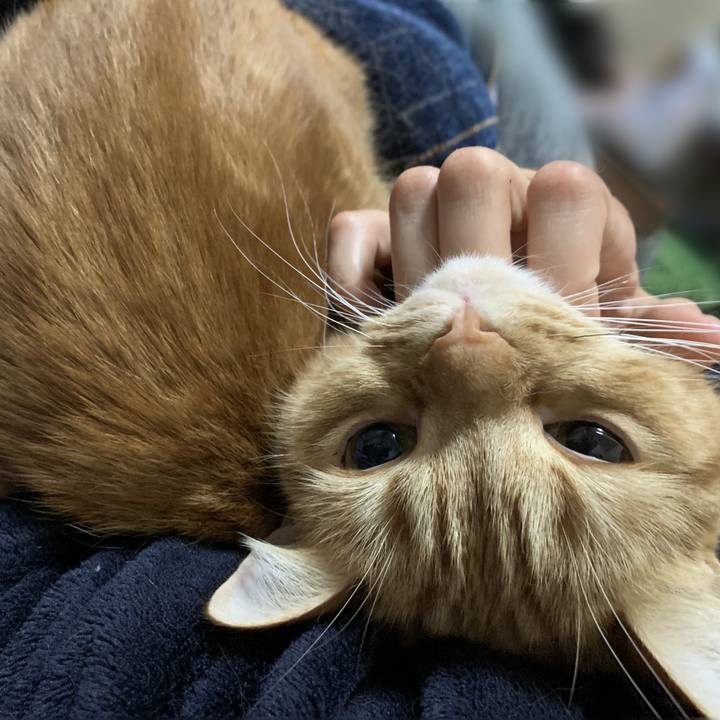 219f773e 96f5 41a5 b9bb 0751bb38f804 1579341129636