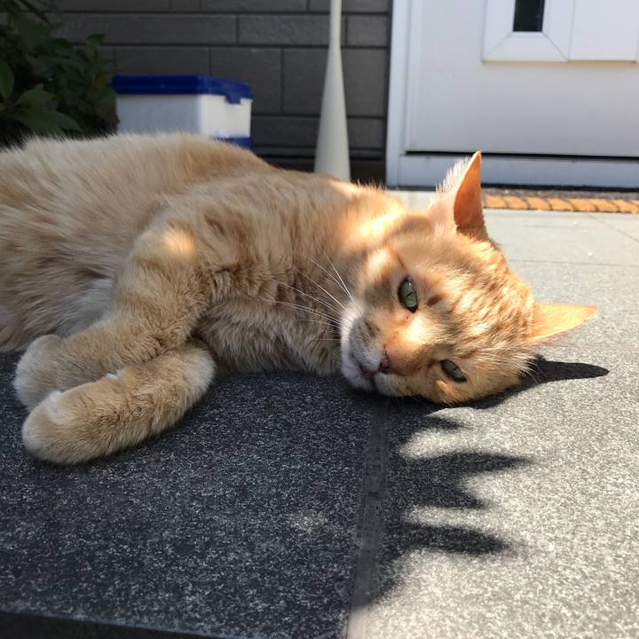 219f7bac 591d 44cb a40c 61a9fdf057c4 1525341807179