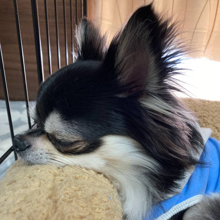 219f93c5 7409 4fda ba01 dbb97171574b 1651585654163