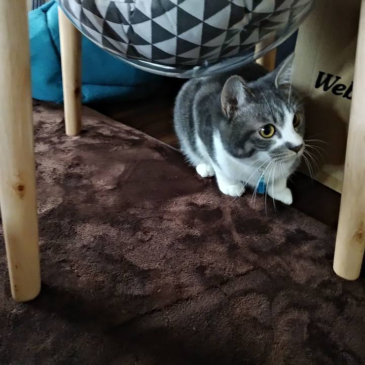 219fb162 3090 4468 b696 f0d7bbd53897 1582329453237