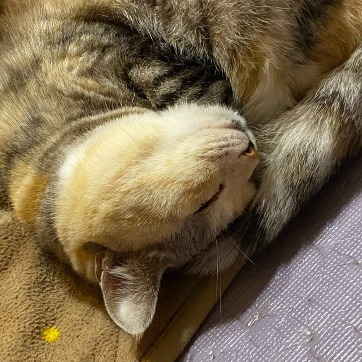 219ff619 1e08 4c68 8e8a addf333ae5fd 1672934720383