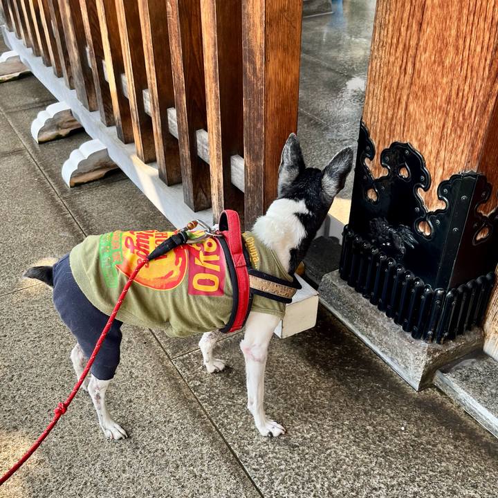 21a013b5 450d 4404 8396 fa3d9be66f6a 1653211981586