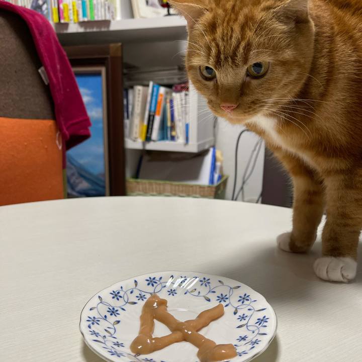 21a02e4a 0438 4157 a40a 7a920d3beb8a 1608214098965