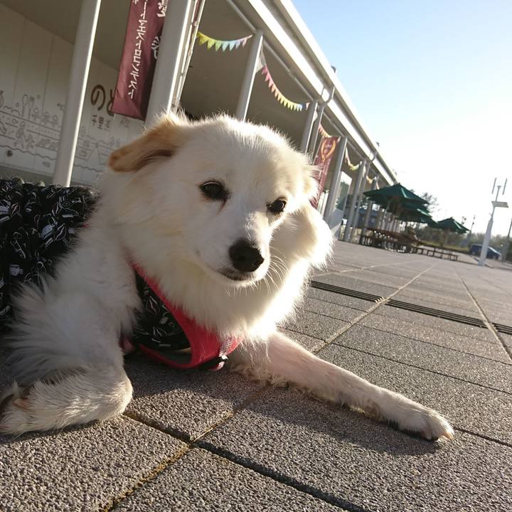 21a06e39 bdb6 4212 8477 47b3516fdee9 1550405525895