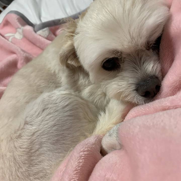 21a0739b 1e0b 4c54 9f0d 1634179616e3 1618743778695