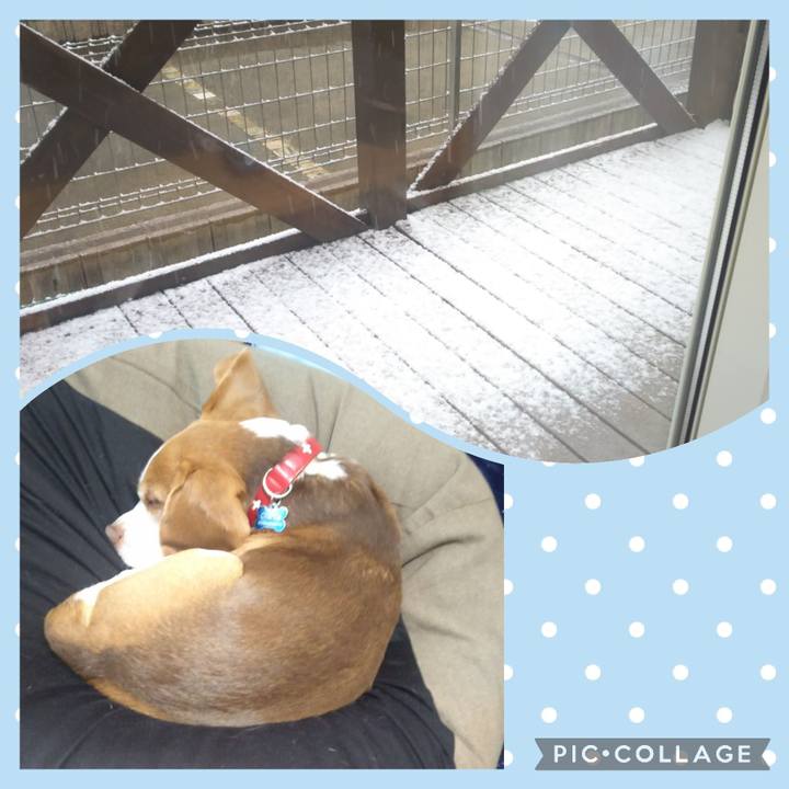 21a07ed1 e059 4c91 ad4f 1d44b74ab223 1641447171213