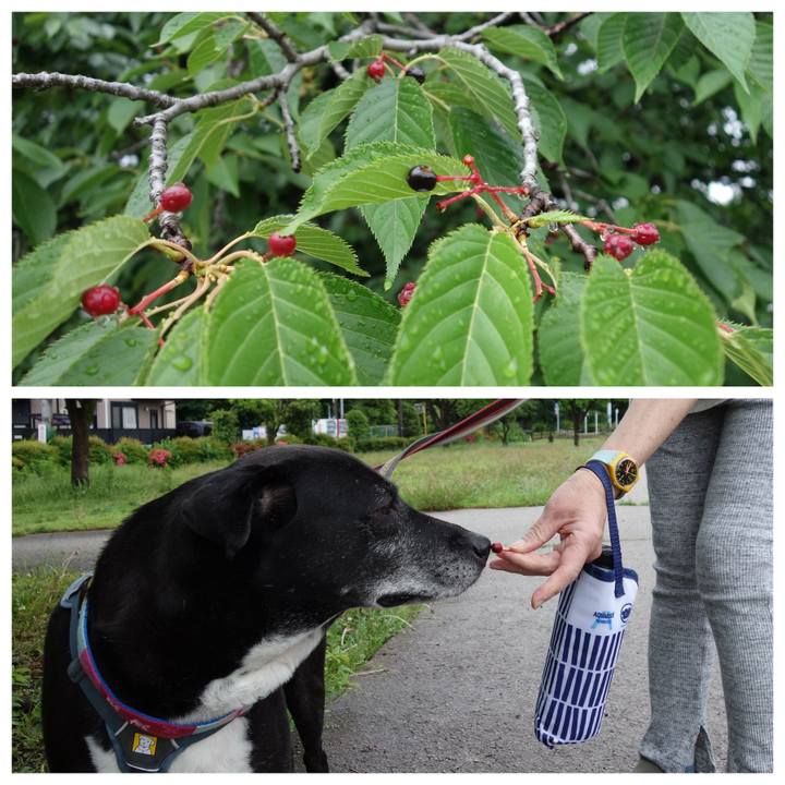 21a0a00e 8136 4253 a0b4 b661df4494d0 1748131950759