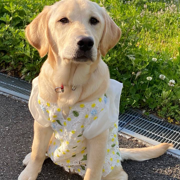 21a0a6b7 e272 4a45 91d2 005fa024acc8 1619561384600