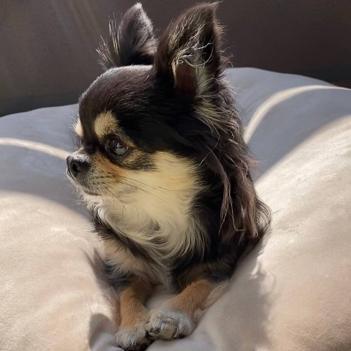 21a0af45 f83a 4979 85ae 9271e0a93e0a 1647056101945