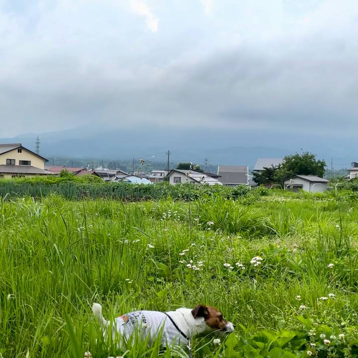 21a0dee1 ee71 4146 afc5 bb9574cb906a 1624340863127