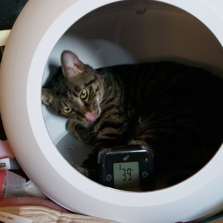 21a0e319 100e 437c aa7d ccc15bc8e6d7 1565160541821