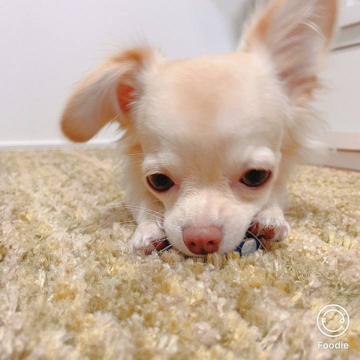 21a0ed87 9285 441c ae28 ceb6d20134dd 1602665137040