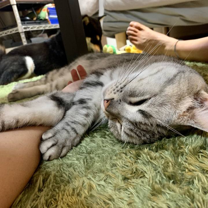 21a0f638 f00b 4ac6 ba18 aca1a1bc9622 1633598106149