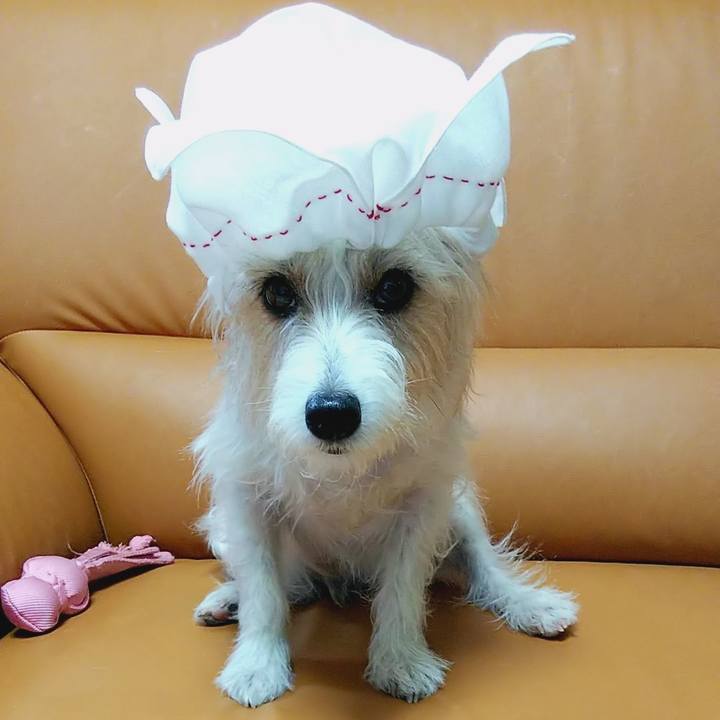 21a0fd9c ba2f 49cb aaff 0670a9ea127c 1555253252666