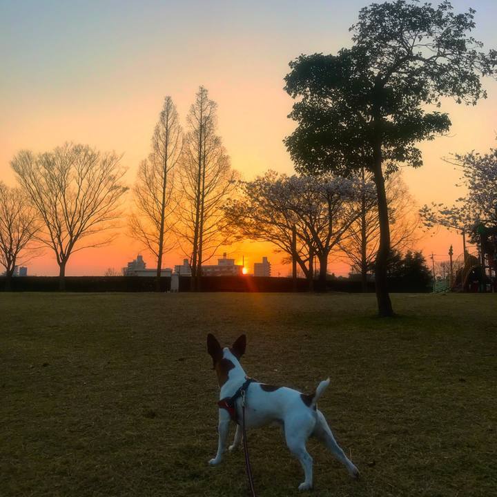 21a13ccb 246a 4e2b a5e7 c479dea4a2c9 1522059021720