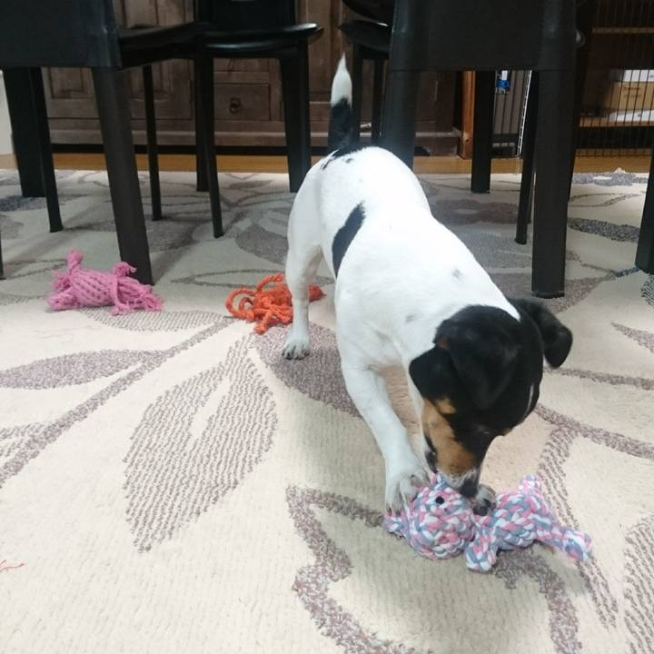 21a142e3 2aa3 404e 93e5 5f8a8bf08d66 1554709515633