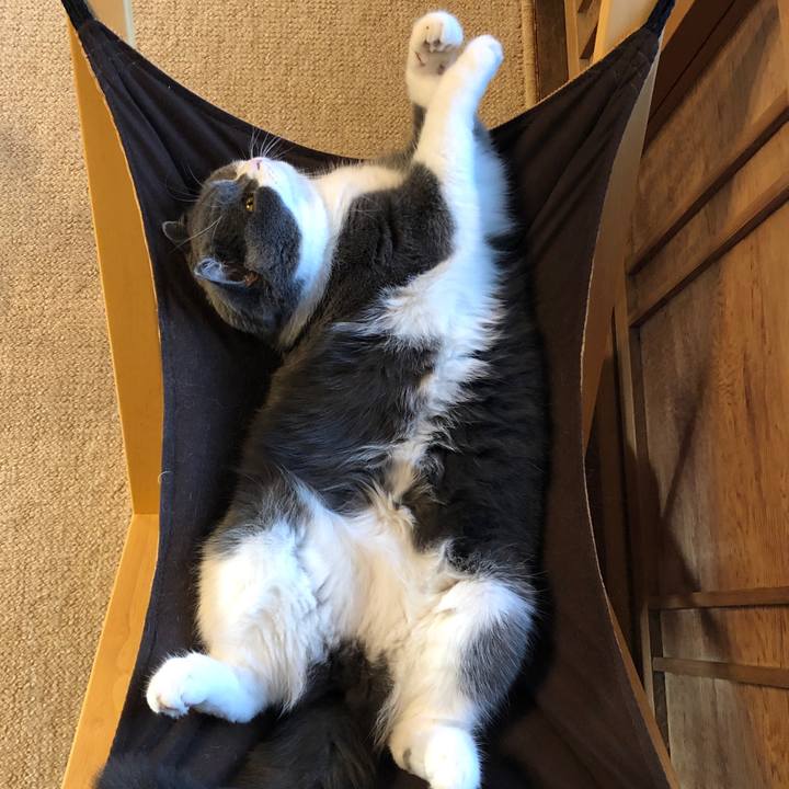 21a150f8 4e64 4d72 8cf2 76eb1a230a8f 1577402055984