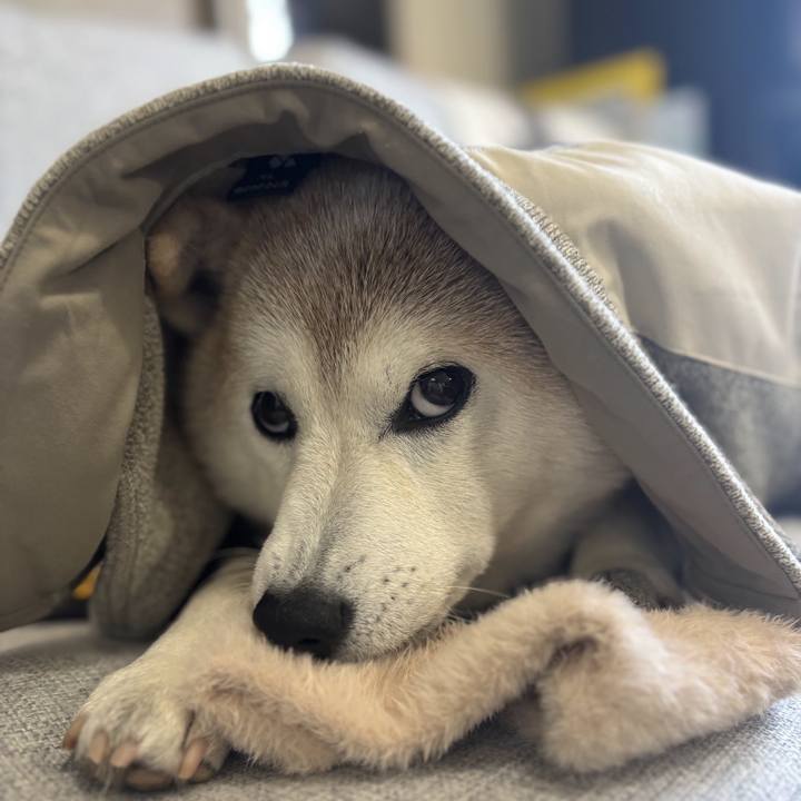 21a1544c 6049 4077 927f 76f5d615dd3a 1744831106331