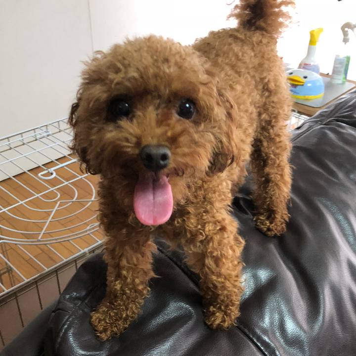 21a16542 09dd 4f5a 9340 7e8c1e7e5e18 1529620320674