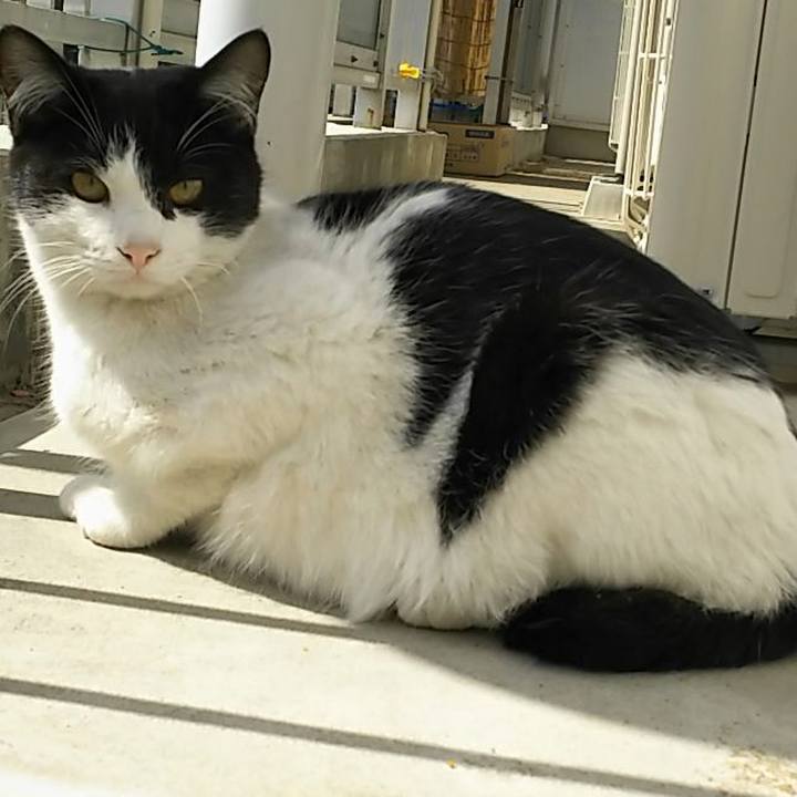 21a16999 1c1a 4a63 81ad 0b8c2c937a8b 1553403570912