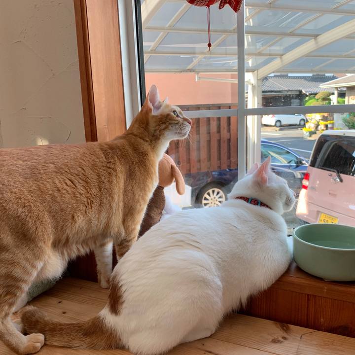 21a169c7 4f76 4e5c aeae 712f86e3e11e 1557957973636